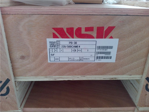 NSK 239500