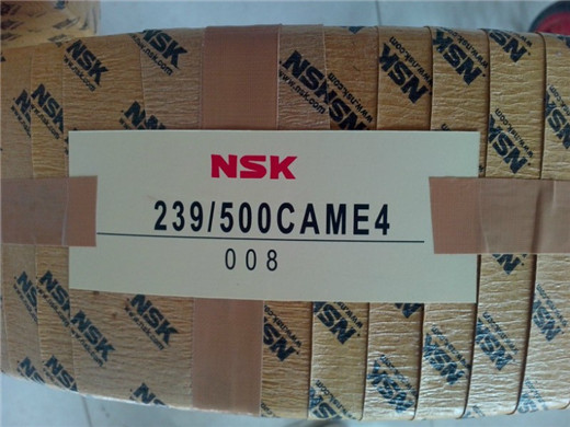 NSK4